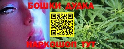 гашик Будённовск