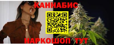 гашик Будённовск
