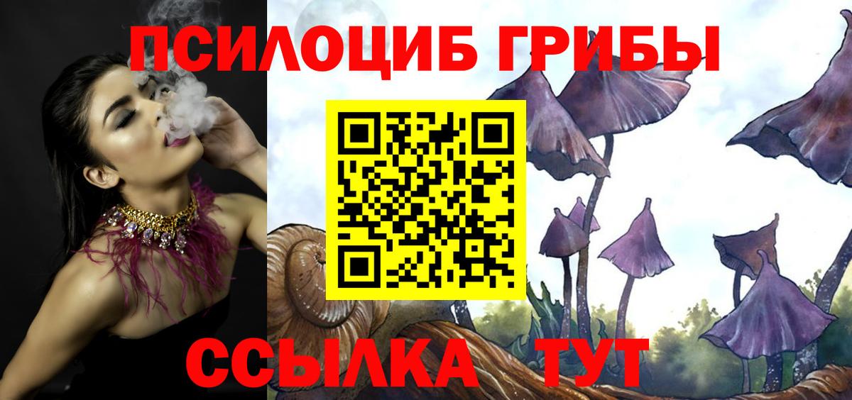 Галлюциногенные грибы Psilocybe Минеральные Воды
